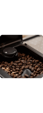 Café Grains Cachet d'Or (500g) – Image 3