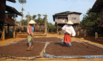 Pack Grains Bio et Equitable – Image 6